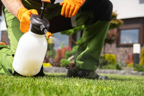 Best Termite Control Services  in Stansbury Park, UT