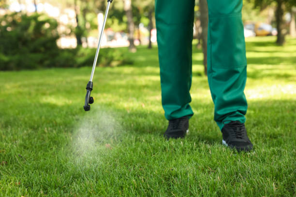 Best Local Pest Control Services  in Stansbury Park, UT
