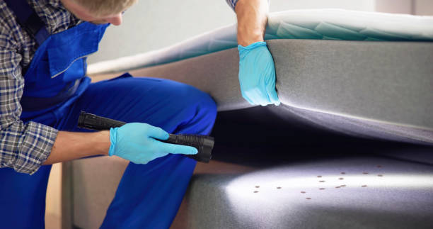 Best Termite Control Services  in Stansbury Park, UT